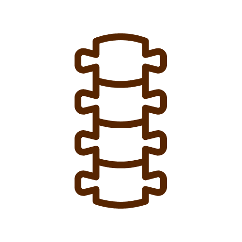 Chiropractic Care