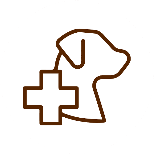 Integrative Wellness Care